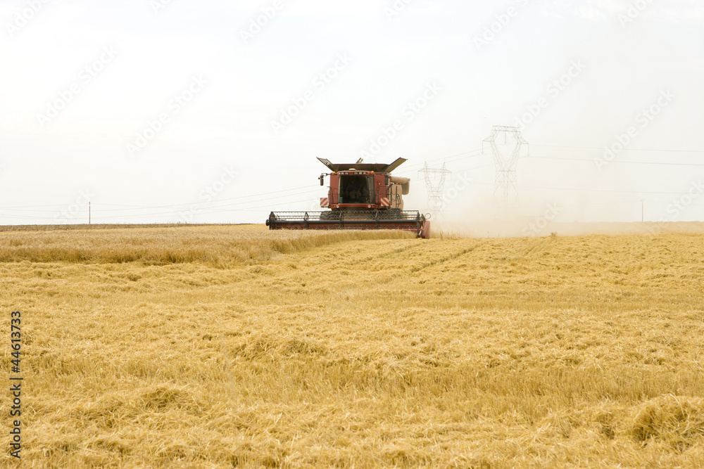 Obraz premium Mähdrescher