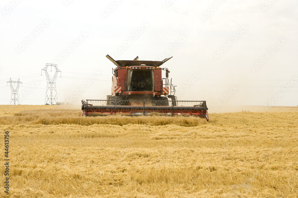 Fototapeta premium Mähdrescher