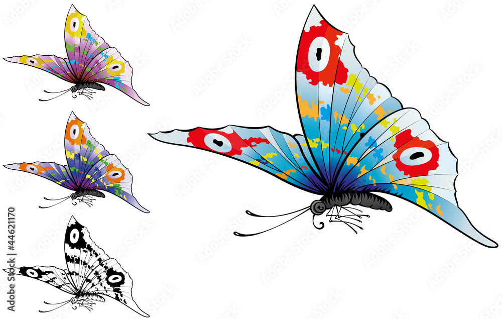 Obraz premium Butterfly