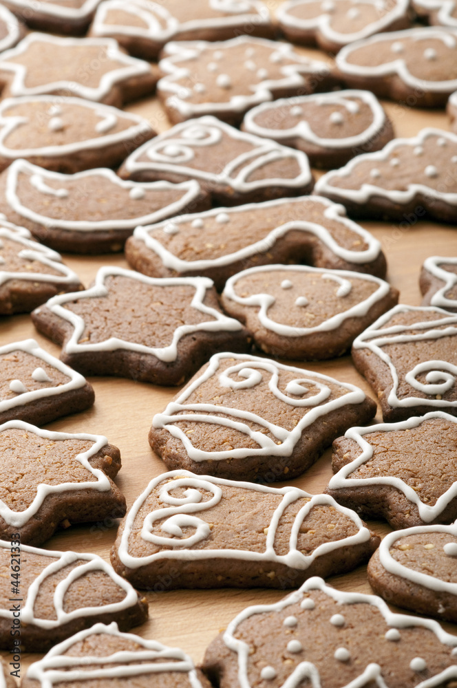 Different Shapes of Gingerbread Cookies