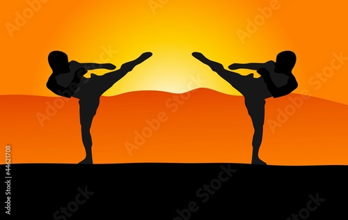 two fighters - silhouette