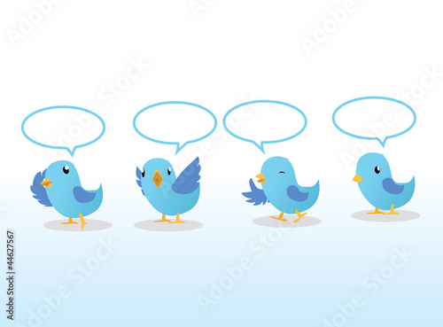 blue birds in line