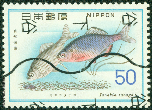 stamp printed in Japan shows Tanakia tanago