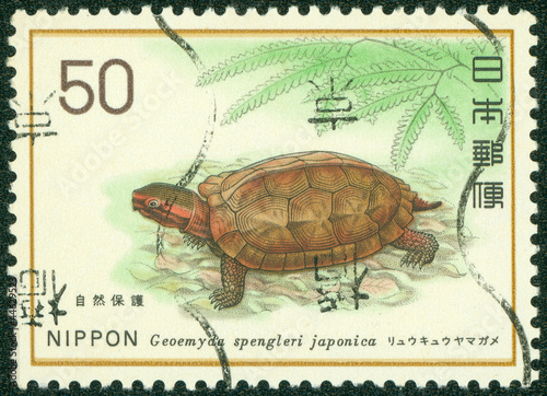 stamp printed in Japan shows Geoemyda spengleri japonica