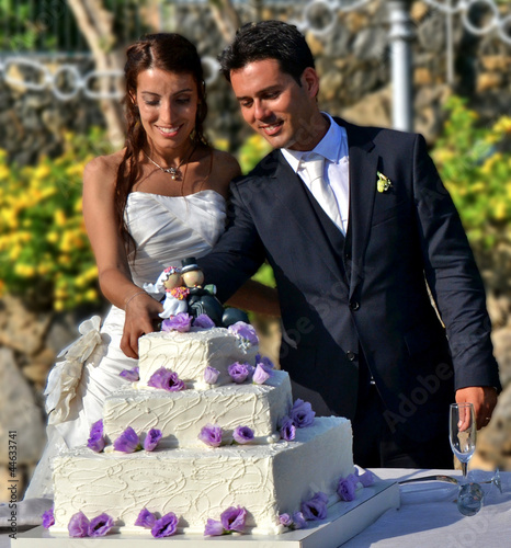 Cutting the wedding cake photo