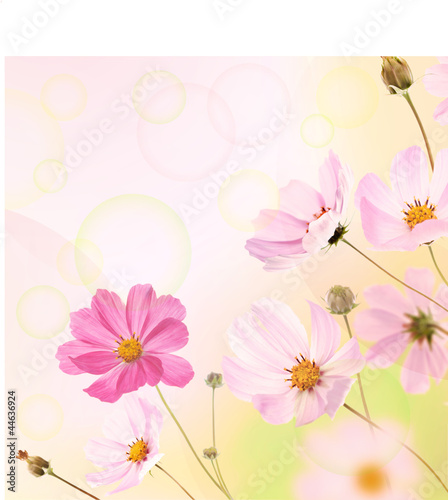 Fototapeta Naklejka Na Ścianę i Meble -  Beautiful Flowers Border.Floral design