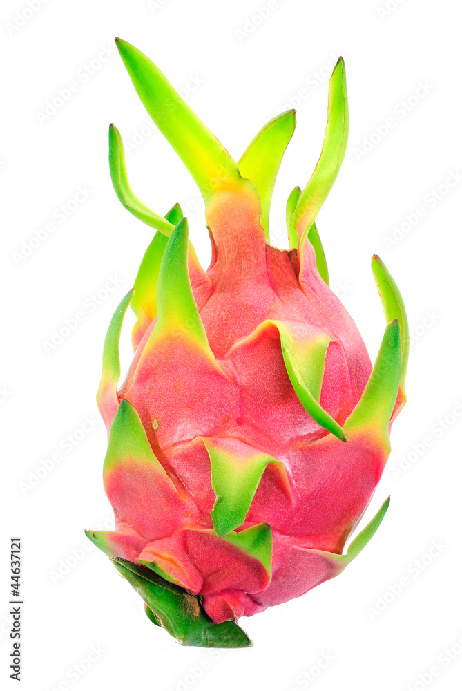 Dragon fruit Dragon fruit