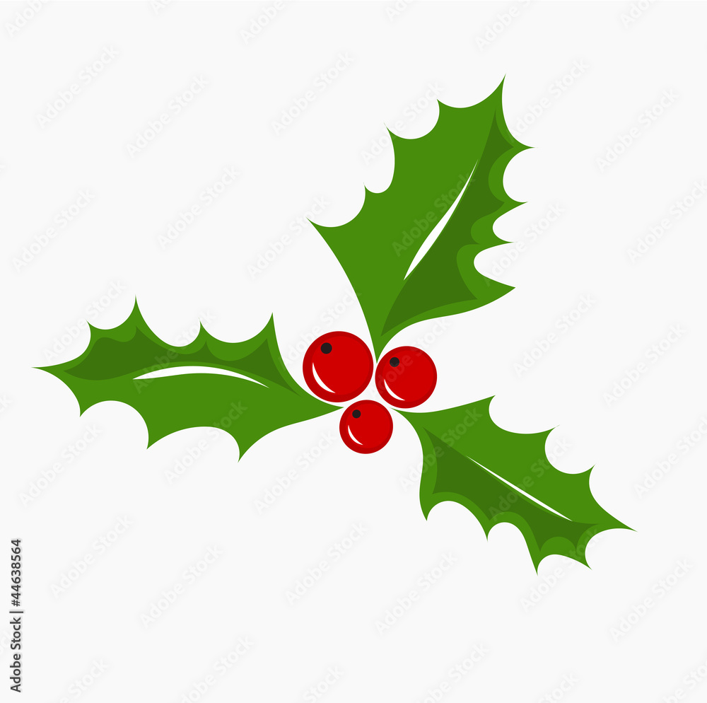 Christmas holly berry Christmas holly berry