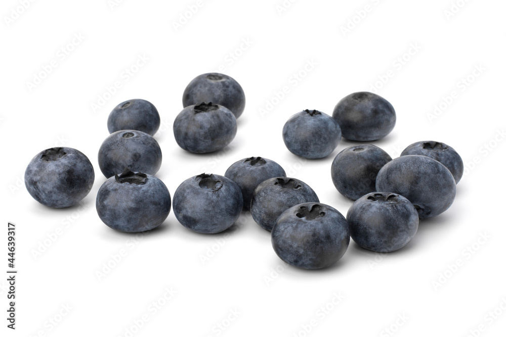 Bilberries or whortleberries cutout Bilberries or whortleberries cutout