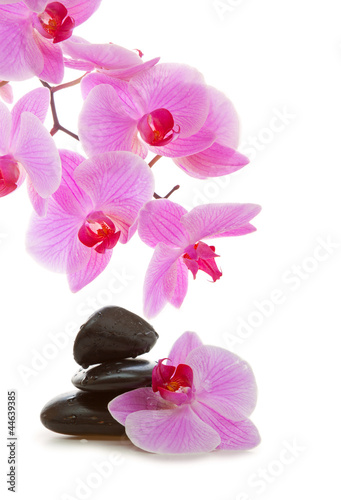 SPA background