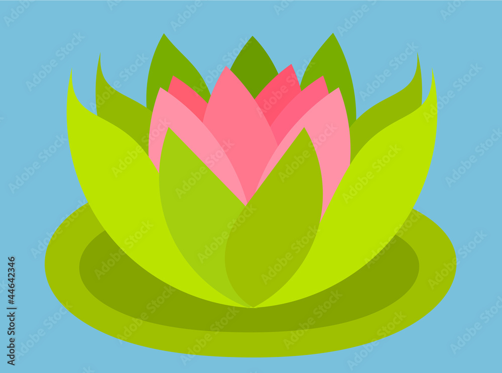 Lotus flower floating