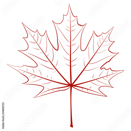 Graphic Maple Leaf