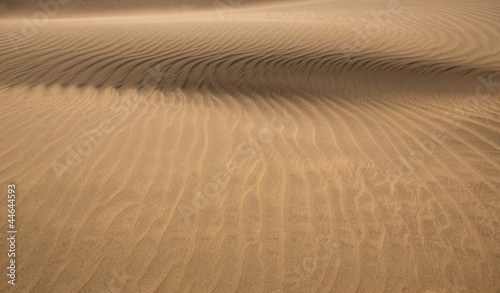 Desert sand dunes in Maspalomas Gran Canaria © lunamarina