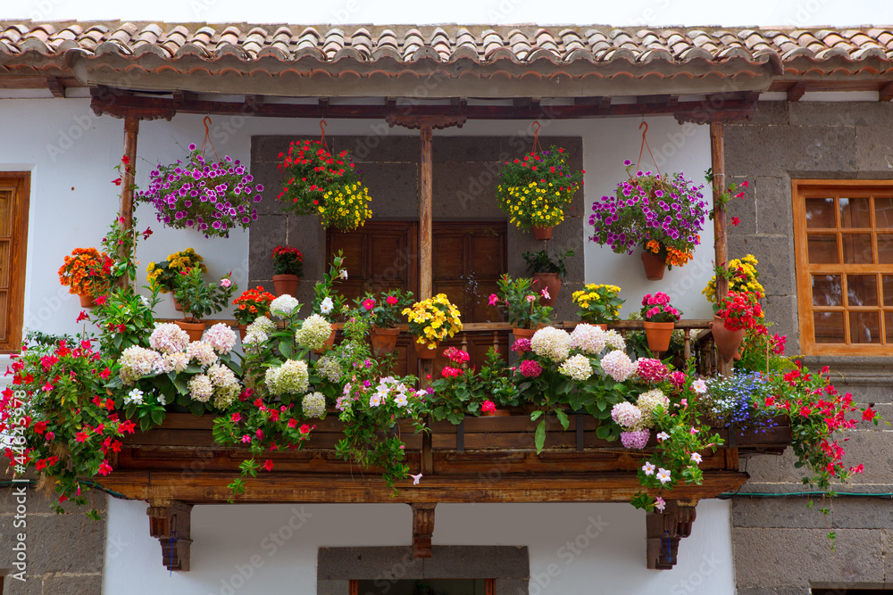 Gran Canaria Teror flower pot balcony