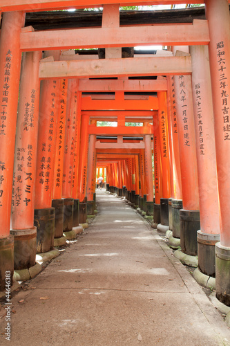 Fushimi Inari