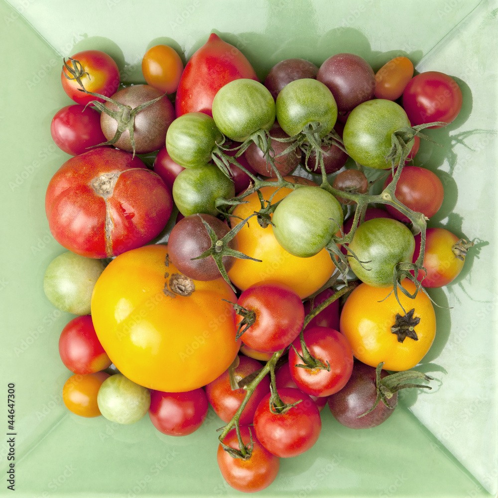 Tomatoes Tomatoes