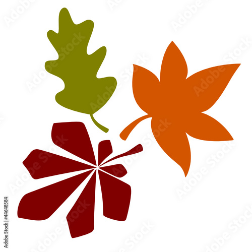 Herbst Blätter