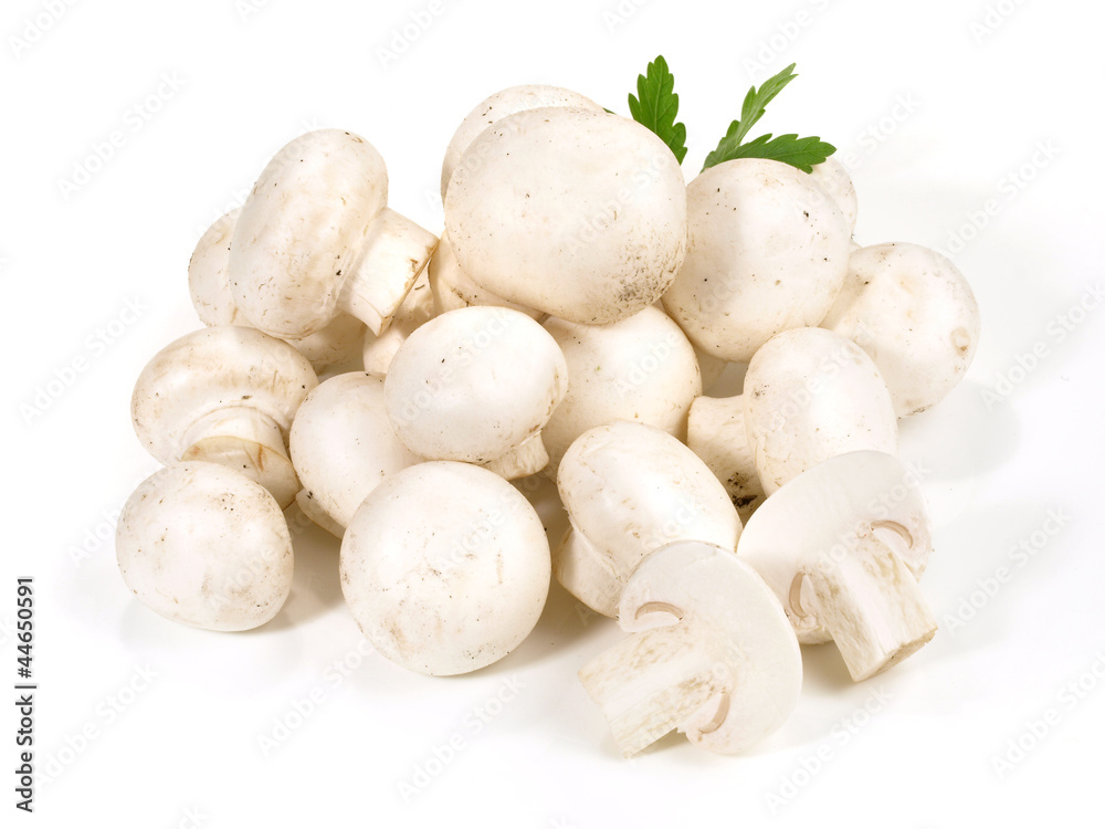 Weisse Champignons