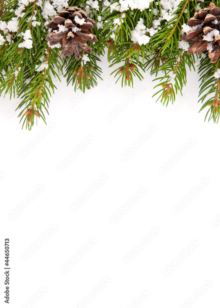 Fototapeta premium Christmas framework with snow and cones
