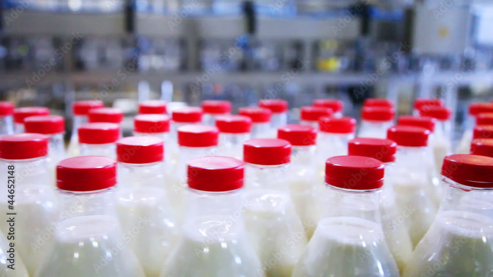 bottles with milk at factory move and stop bottles with milk at factory move and stop