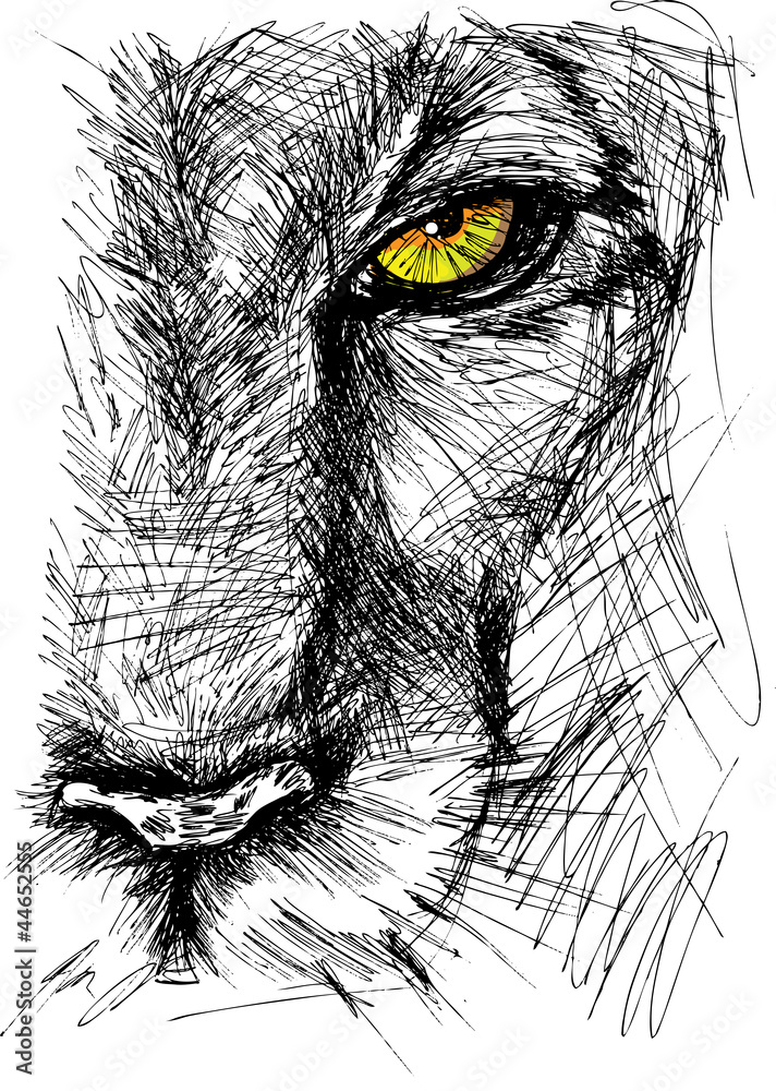 Obraz premium Ręcznie rysowane szkic lwa patrząc uważnie w kamerę