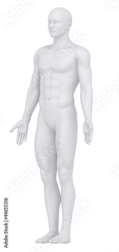 White male isolated in anatomical position dorsal view