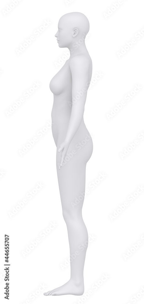 White female isolated in anatomical position lateral view White female isolated in anatomical position lateral view