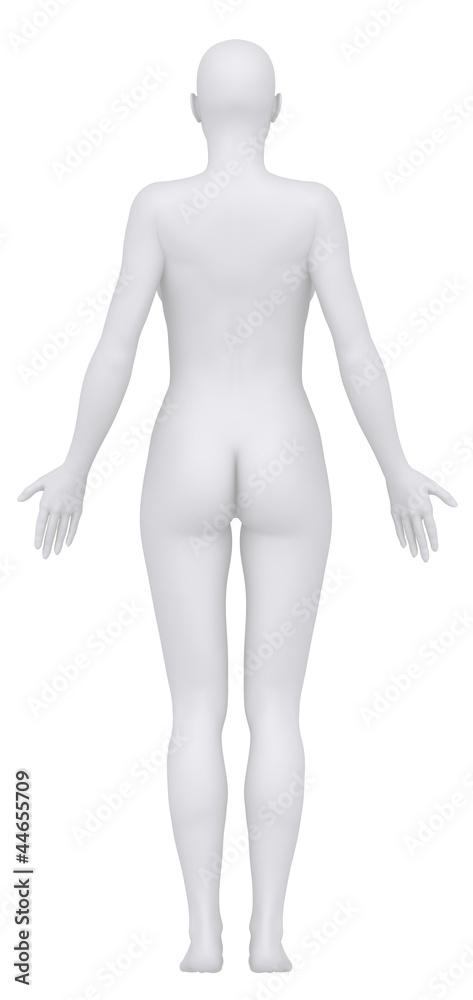 White female isolated in anatomical position posterior view White female isolated in anatomical position posterior view