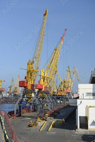 Cranes in the harbor