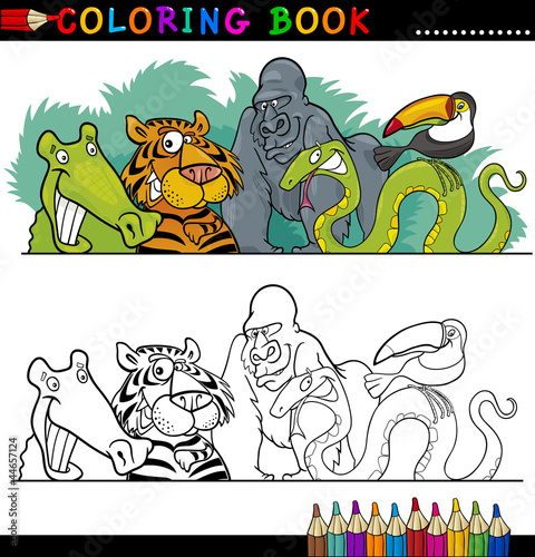 Fototapeta Naklejka Na Ścianę i Meble -  Wild Jungle Animals for Coloring