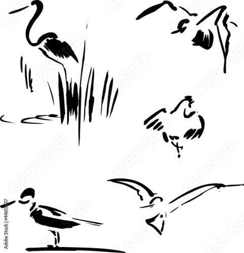 Canvas Print Calligraphy bird set