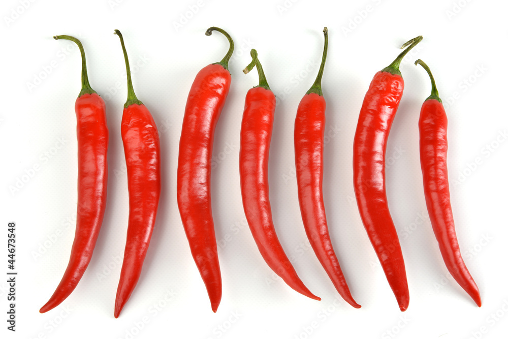 Hot Chili - Red Pepper - Chilischoten