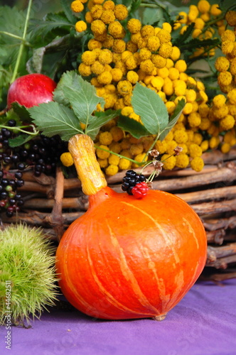 Grußkarte - Kürbis - Herbst...