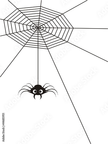 Araña_4