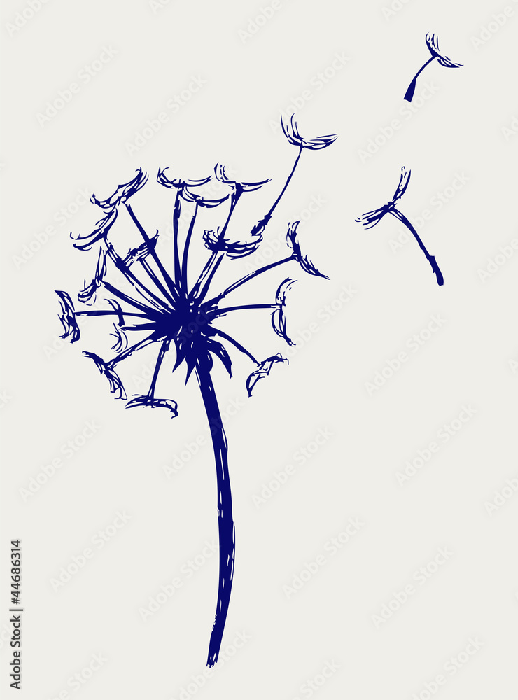 Blow Dandelion. Doodle style Stock Vector Adobe Stock