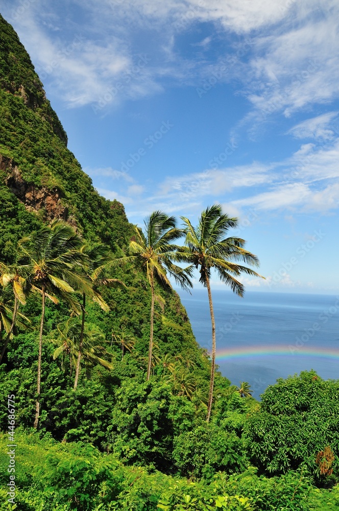 Fototapeta premium Rainbow by the mountain