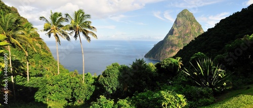 Palms Trees and Pitons