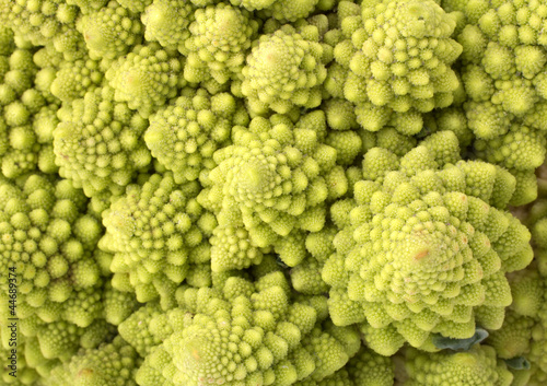 Roman Cauliflower closeup background