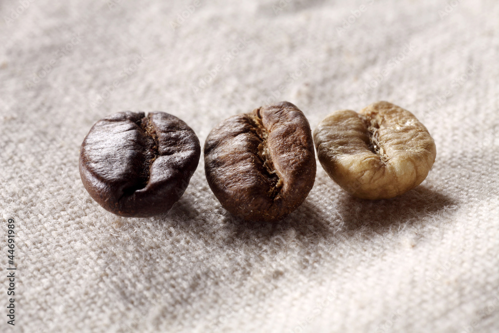 Obraz premium coffee bean
