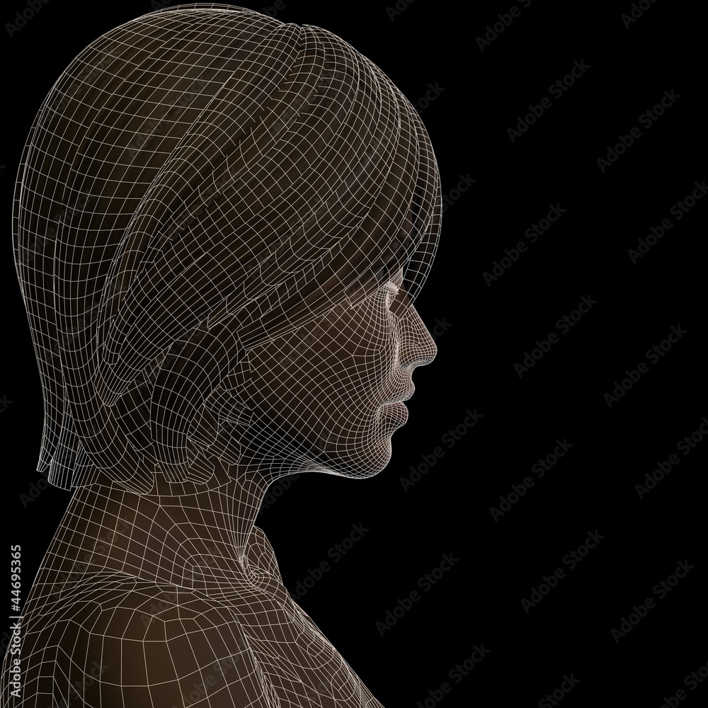 High resolution 3D wireframe human female head isolated High resolution 3D wireframe human female head isolated