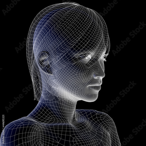 High resolution 3D wireframe human female head isolated