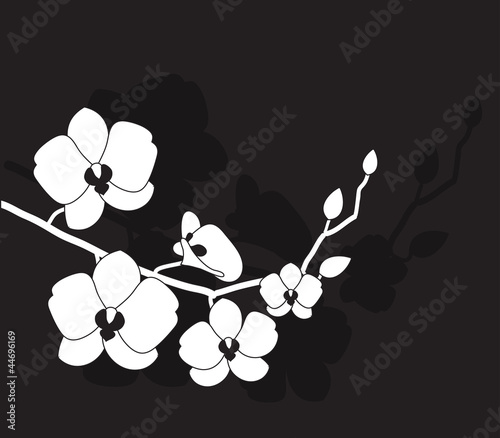 stylized white orchid