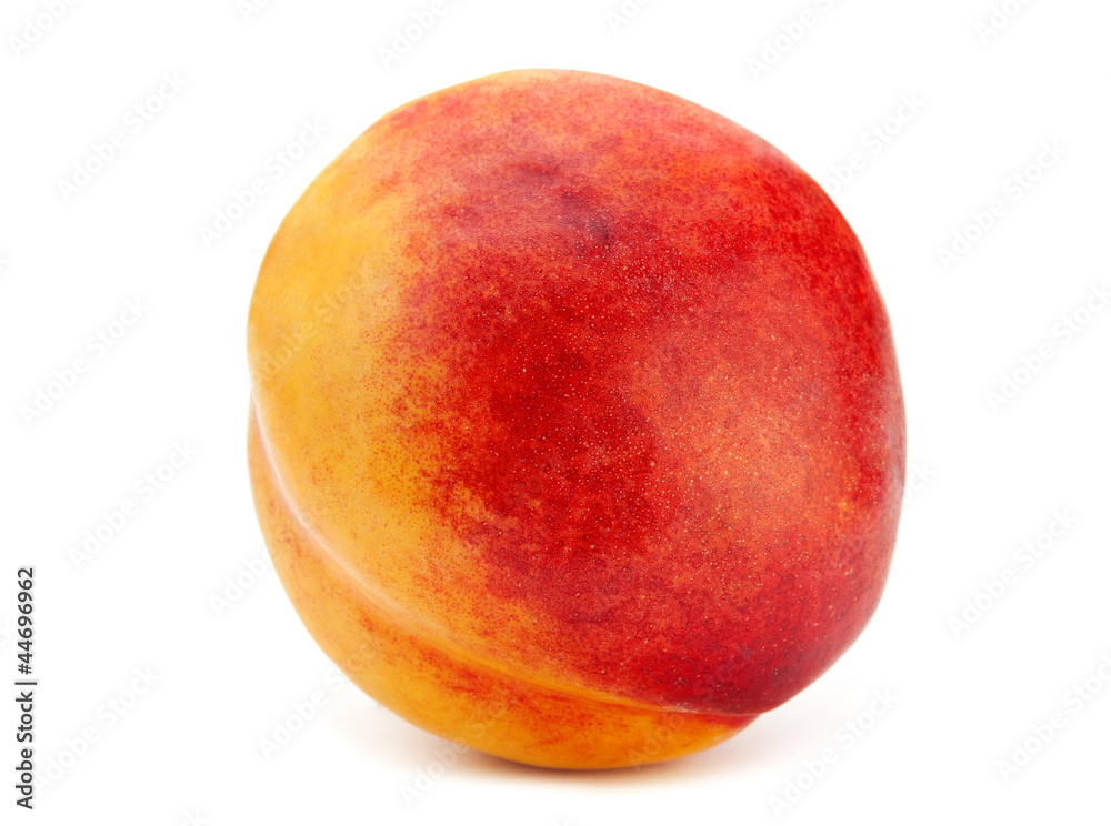 Nectarine Nectarine