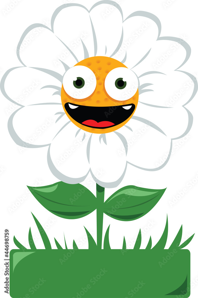 Fototapeta premium Funny daisy in a garden