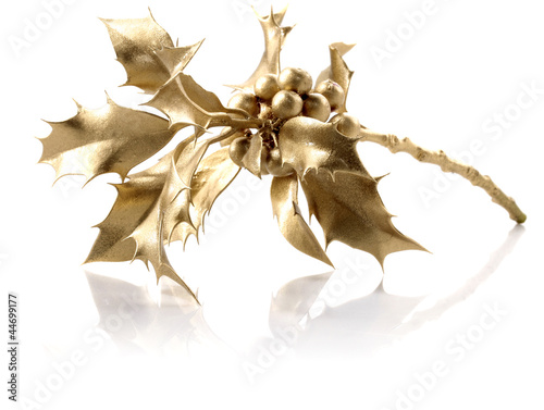 goldenholly