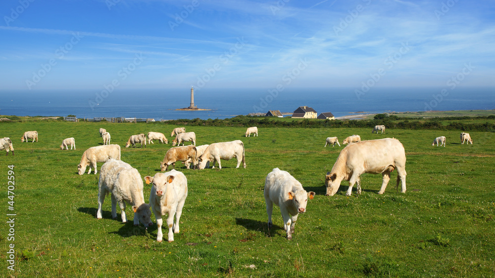 Goury Lighthouse at La Hague cape in Normandy, France. Goury Lighthouse at La Hague cape in Normandy, France.
