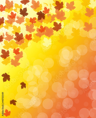 Autumn background with maple leaves and bokeh effect