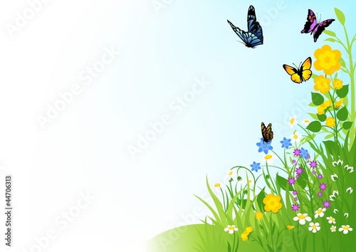 Butterflies and Flowers © Roman Dekan