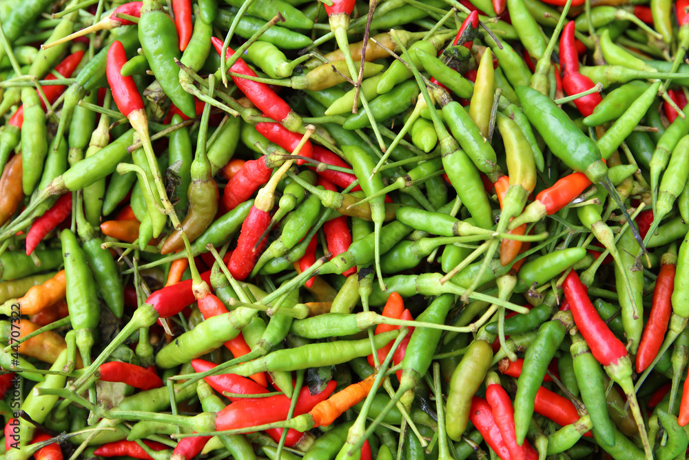 chilli red and green peppers as background chilli red and green peppers as background