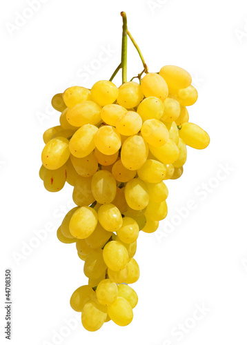 grape